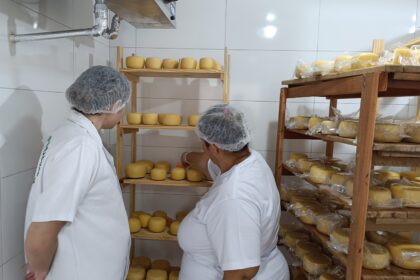 Governo de Goiás cria o Sistema Unificado de Sanidade Agroindustrial Familiar, Artesanal e de Pequeno Porte