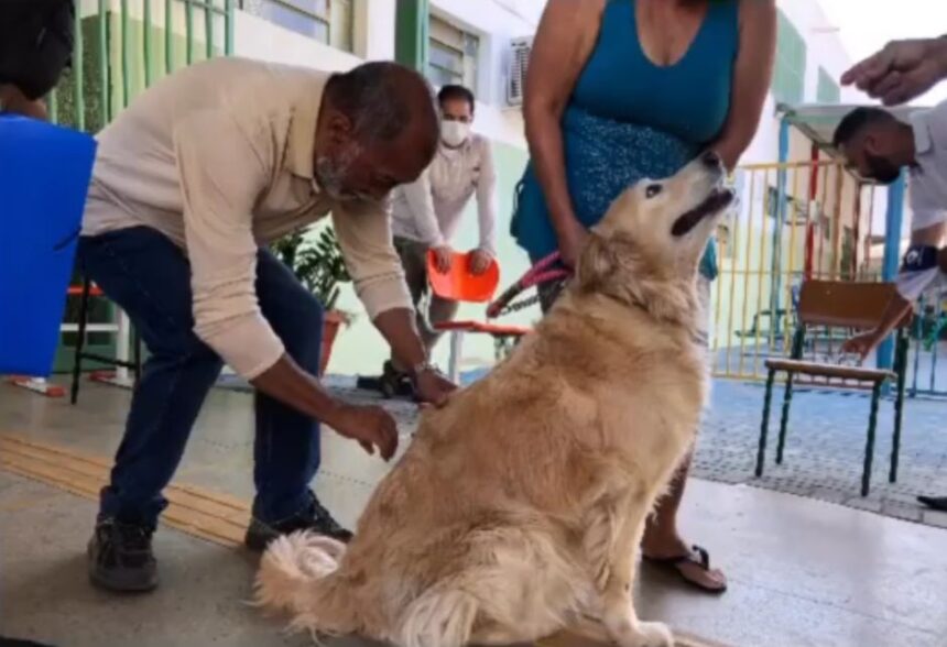 Goiânia inicia Campanha de Vacinação Antirrábica neste sábado