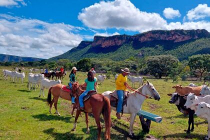 Nova Lei Geral do Turismo deve impulsionar setor em Goiás