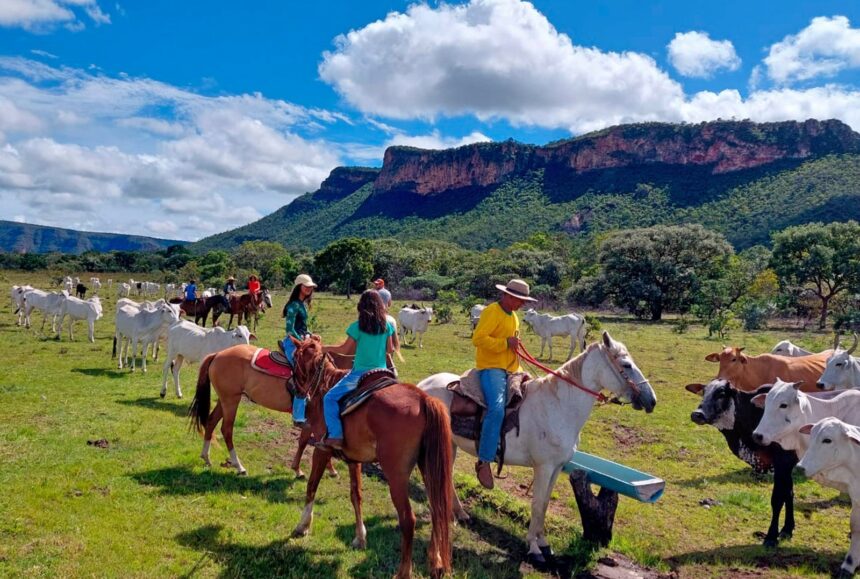 Nova Lei Geral do Turismo deve impulsionar setor em Goiás