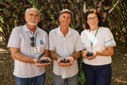 Com assistência da Emater, produtor investe em tecnologia para melhorar produção de jabuticaba