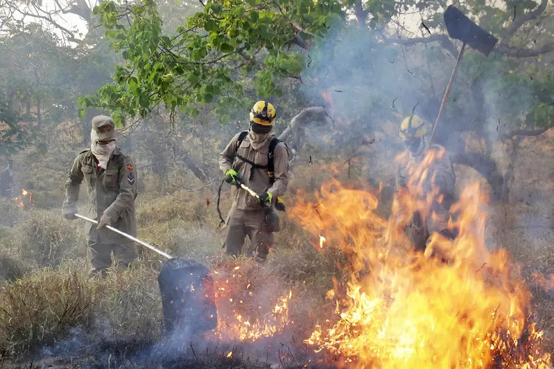 Caiado defende maior rigor da legislação para coibir incêndios criminosos